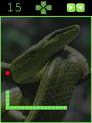Snake game screenshot